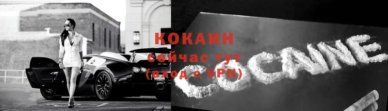 Cocaine Эквадор  как найти закладки  Нерехта 